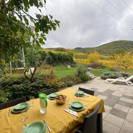 Maison Au Coeur Du Vignoble A 10 Minutes De Colmar Wintzenheim