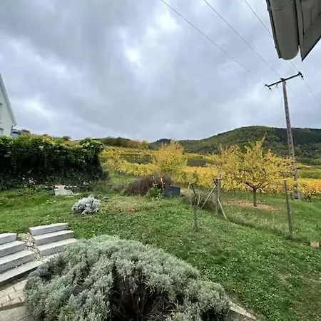 Maison Au Coeur Du Vignoble A 10 Minutes De Colmar بيت للعطل