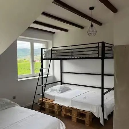 Maison Au Coeur Du Vignoble A 10 Minutes De Colmar